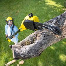 Professional Tree Services in Corsicana, TX